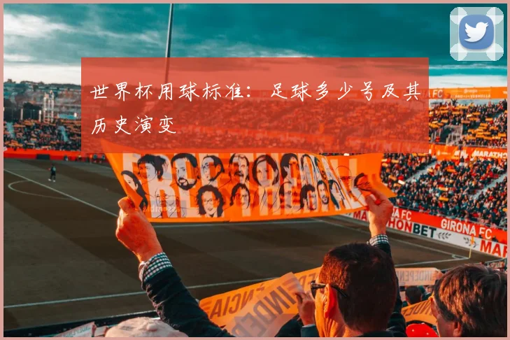世界杯用球标准：足球多少号及其历史演变