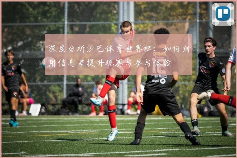 深度分析沙巴体育世界杯：如何利用信息差提升观赛与参与体验