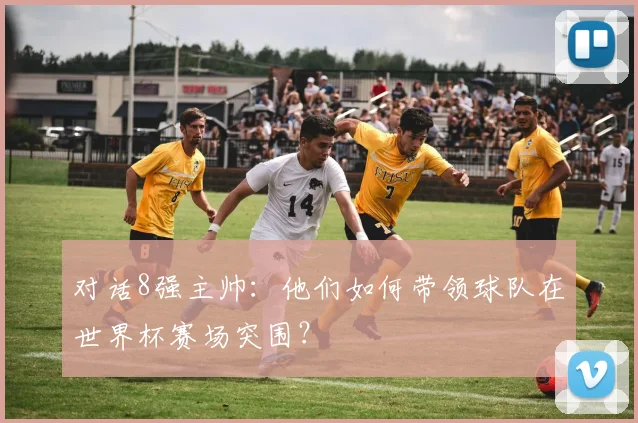 对话8强主帅：他们如何带领球队在世界杯赛场突围？