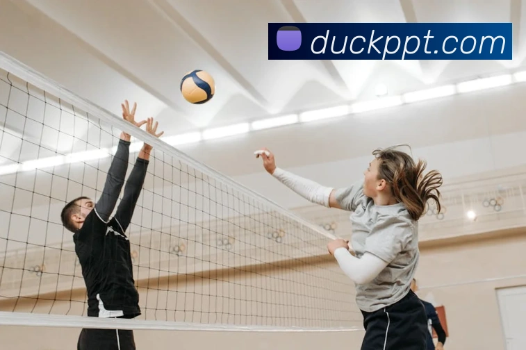 九游官方登录入口APP 封面图